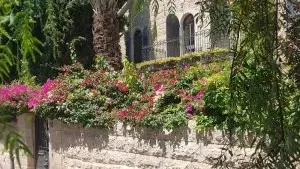 מושבה כפרית בלב העיר – סיורי שבת בירושלים