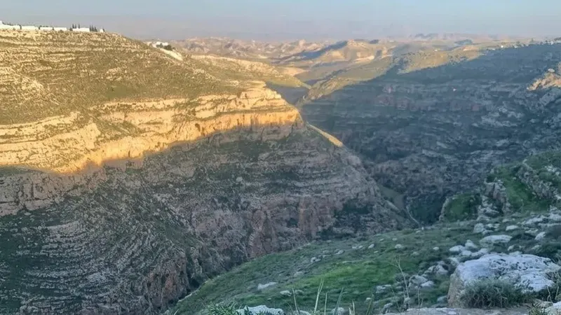 שקיעה בתל תקוע