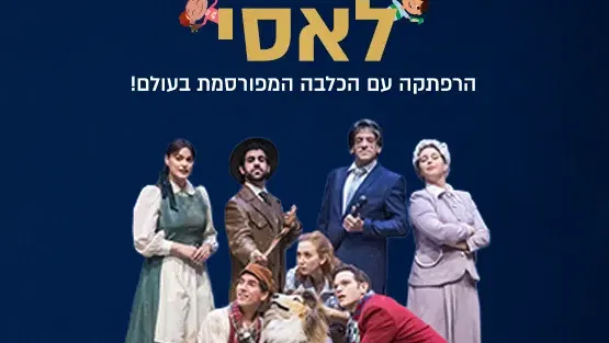 לאסי -מדיאטק