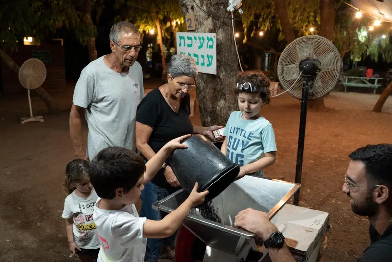 בוצרים ונהנים בלילה במשק אופיר