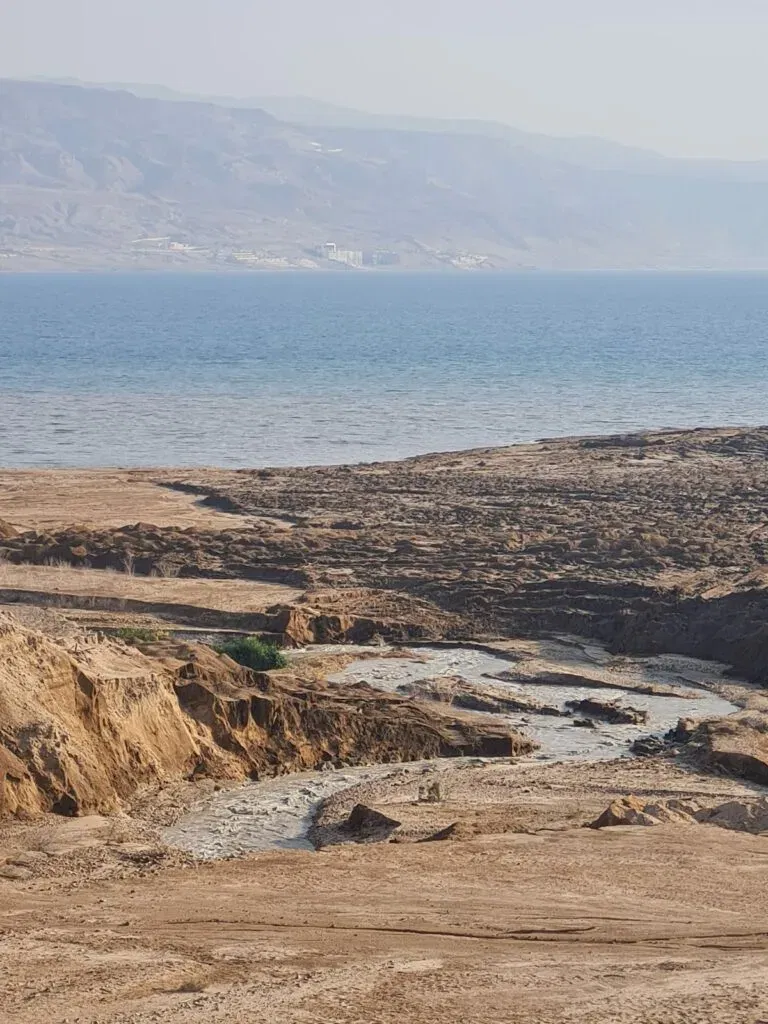 שפך הירדן ובית הערבה