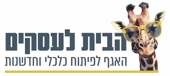 קידום דיגיטלי במטא לעסקים קטנים