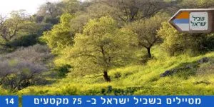 טיול שביל ישראל קטע 14 משהד וציפורי