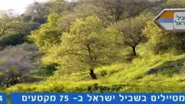 טיול שביל ישראל קטע 14 משהד וציפורי