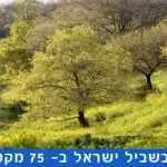 טיול שביל ישראל קטע 14 משהד וציפורי