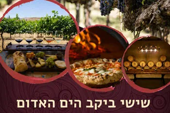 אהבה בין הכרמים - סופי שבוע ביקב הים האדום