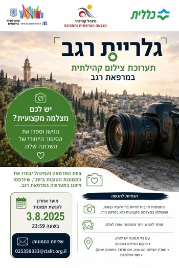 גלריית רגב