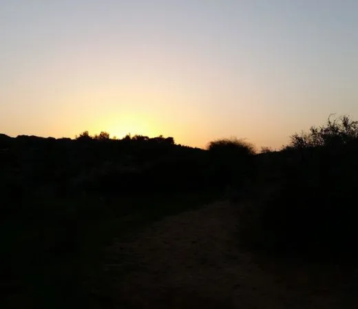 טיול עששיות מיוחד בטבע