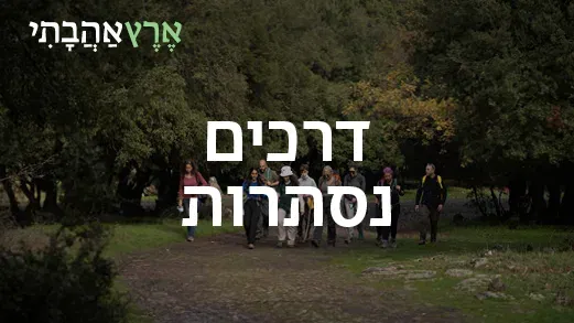 ארץ אהבתי – דרכים נסתרות