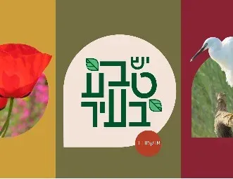 *עידכון* טבע עירוני בגינה הקהילתית