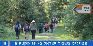 שביל ישראל קטע מספר 18 – מכפר האמנים עין הוד ועד הישוב עופר בכרמל