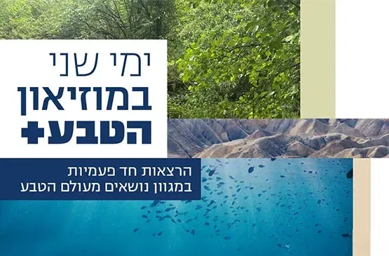 הרצאה | מערות כדלתות התודעה: החוויה הפסיכדלית בתקופת האבן * פרופ' דן ברקאי