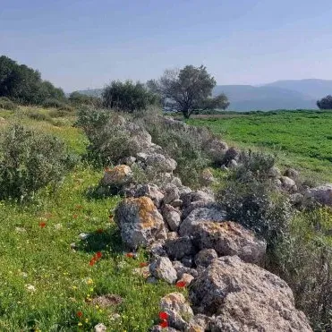 הרים, תאומים וקטלבים: סיור מנס הרים לנחל דולב ומערת התאומים