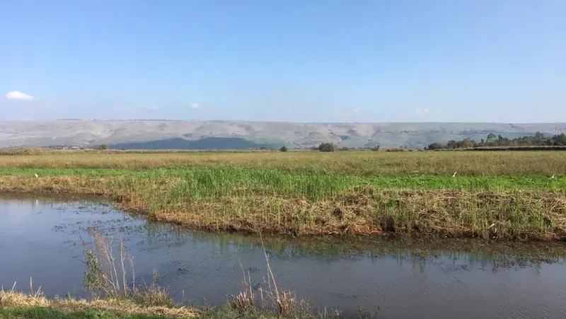 טיול ראשון: אצבע הגליל בסתיו