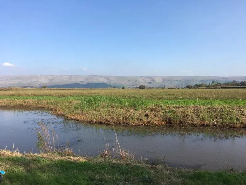טיול ראשון: אצבע הגליל בסתיו