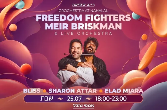 רייב שקיעה | CROCHESTRA LIVE FREEDOM FIGHTERS & MEIR BRISKMAN