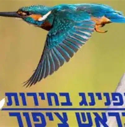 הפנינג בחירות בראש ציפור