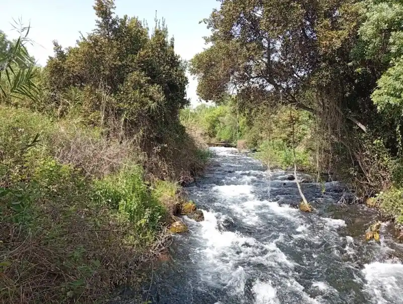 חופשת ט"ו באב משפחתית בבית ספר שדה חרמון
