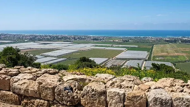 מחוטם הכרמל אל חופו