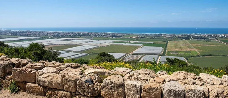 מחוטם הכרמל אל חופו