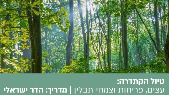 טיול הקתדרה: בין עצים, פריחות וצמחי תבלין - יום בשרון