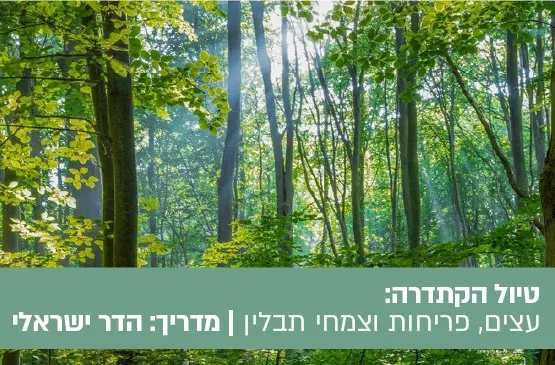טיול הקתדרה: בין עצים, פריחות וצמחי תבלין - יום בשרון