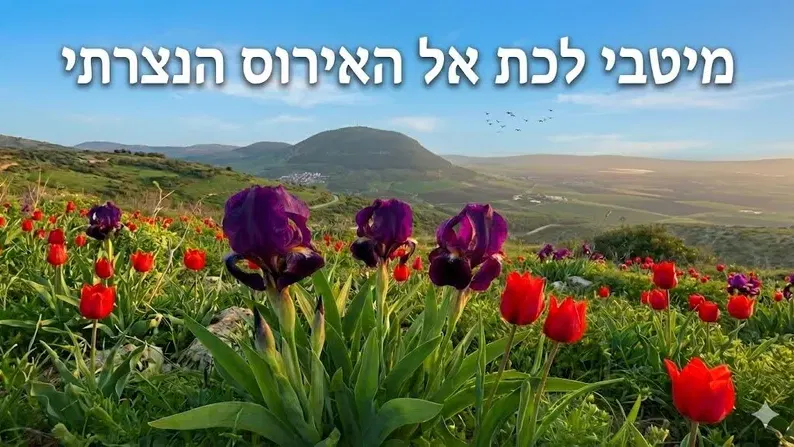 שבת 6/3: מיטיבי לכת יער בית קשת והר דבורה