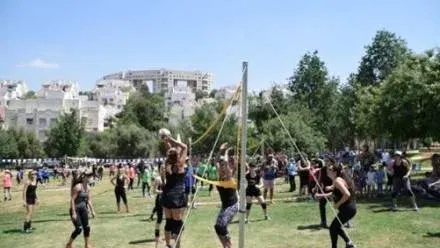 כדורשת על הדשא