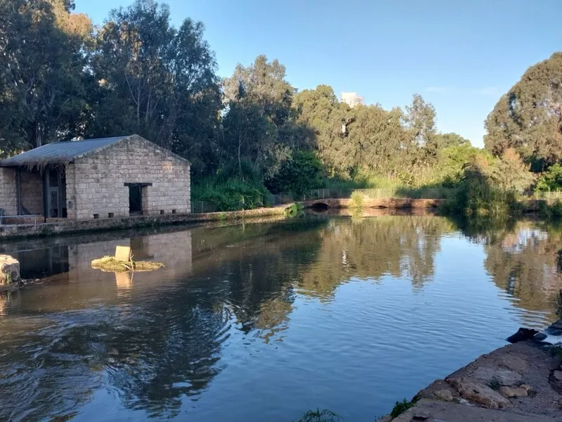 טבע עירוני בפארק הירקון
