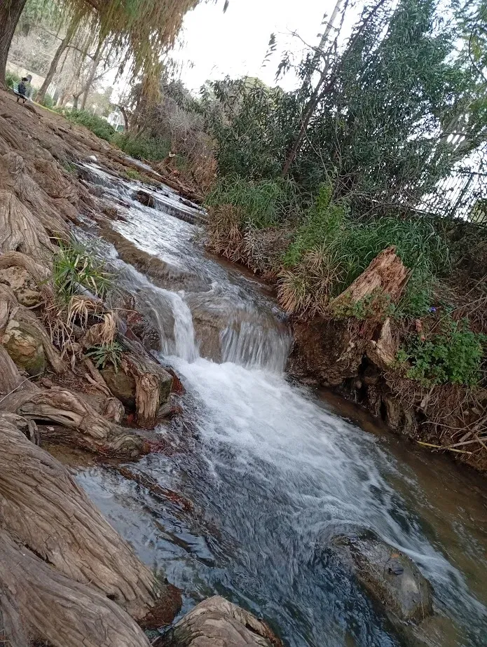 פנינת הטבע של קריית שמונה: טיול משפחתי בנחל הזהב