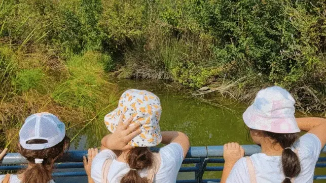 ימי קיץ לילדים בטבע העירוני 2026