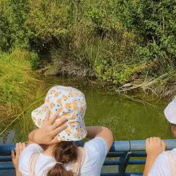 ימי קיץ לילדים בטבע העירוני 2026