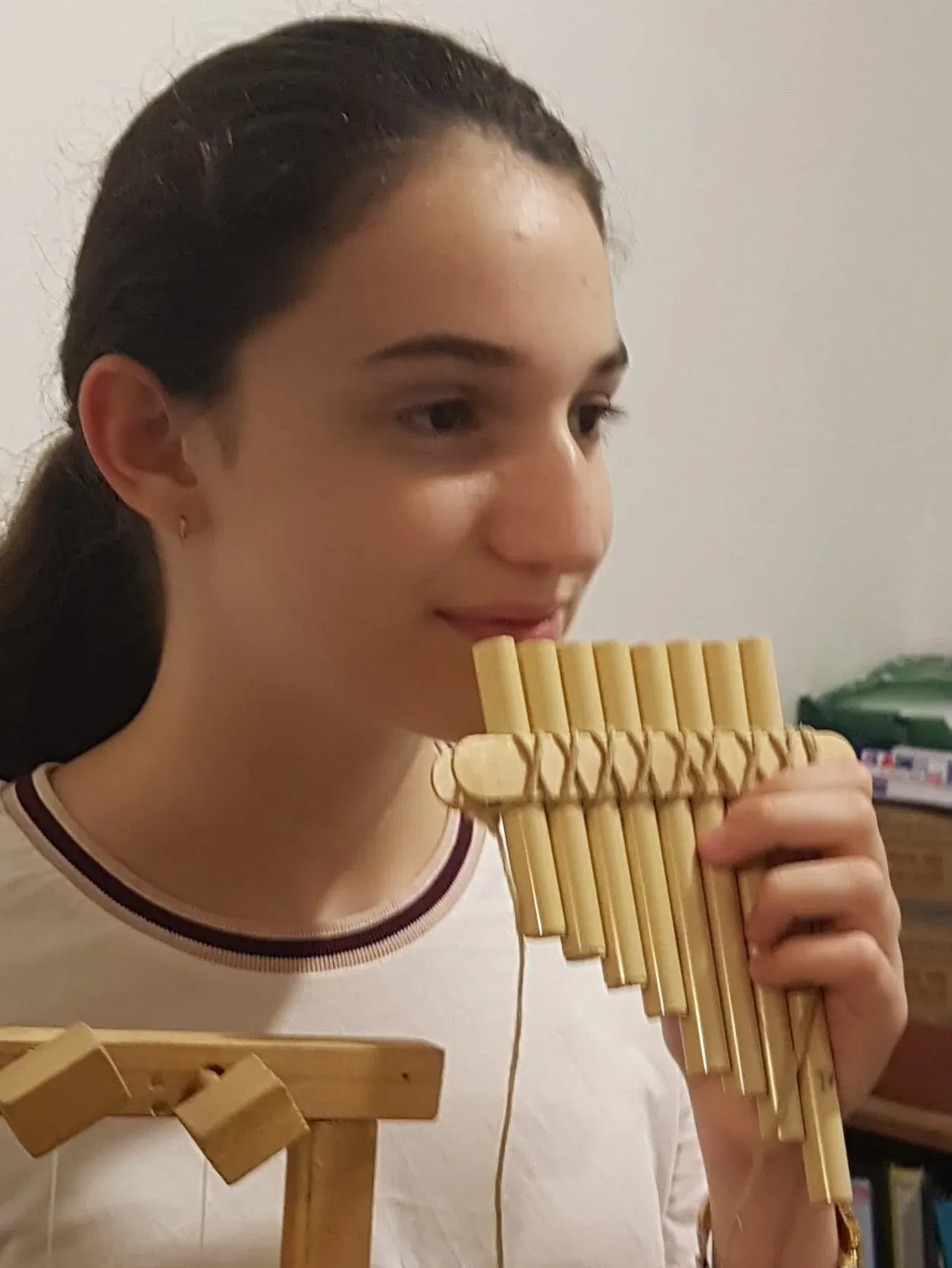 סדנת בניית חליל פאן מכוון  לילדים בקיבוץ עין המפרץ