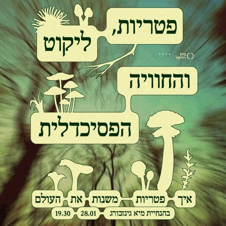 פטריות, ליקוט והחוויה הפסיכדלית