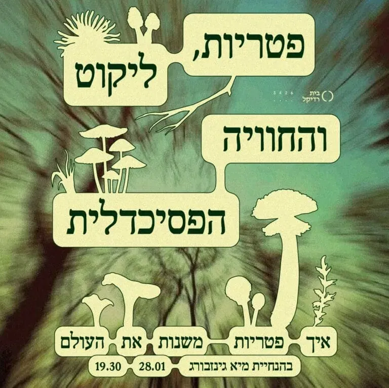 פטריות, ליקוט והחוויה הפסיכדלית