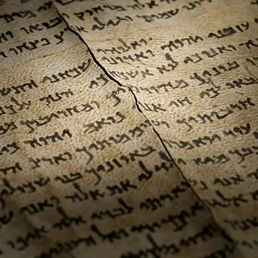 שיח גלריה | נחמה מן המדבר: מגילת ישעיהו השלמה עם האוצרת חגית מעוז