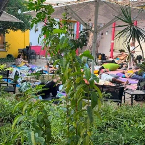 צלילים מרפאים: סאונד הילינג ותה בגינה