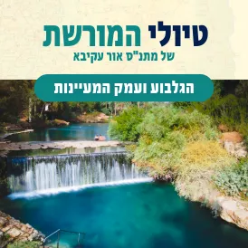 טיולי מורשת - הגלבוע ועמק המעיינות