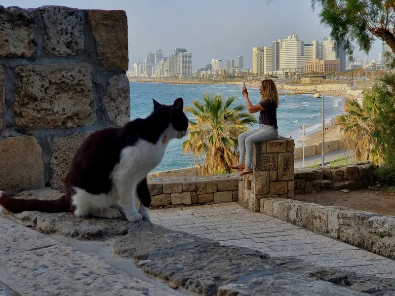 שוק הפשפשים ויפו העתיקה