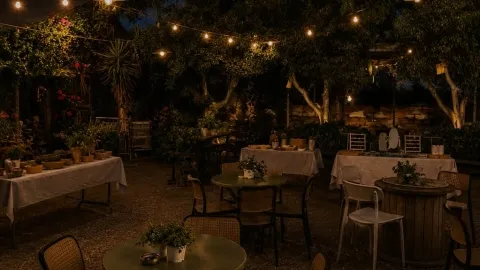לילה לבן במשתלת שמיר כפר יהושע