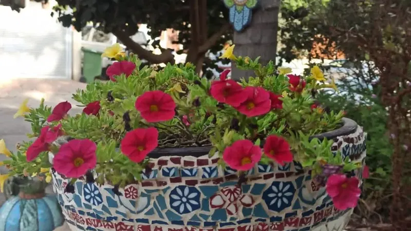 סדנת פסיפס להכנת עציץ דקורטיבי