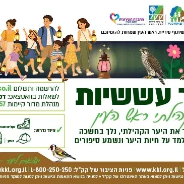סיור עששיות