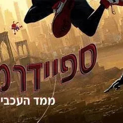 מפגש קולנוע על תחפושות וגיבורי על והקרנת הסרט - ספיידרמן ומימד העכביש