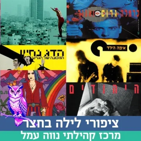ציפורי לילה פותחות את השנה
