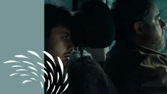 לאן | אסף מכנס