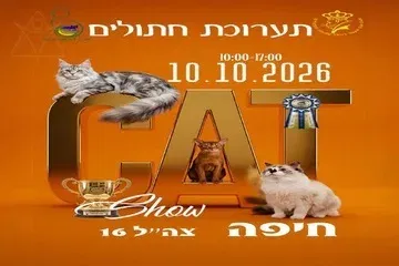 תערוכת חתולים בינלאומית בחיפה