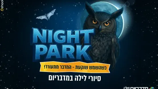 סיורי לילה