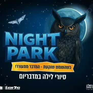 סיורי לילה