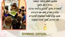 שעת סיפור ויצירה לראש השנה עם תיאטרון איילושקה