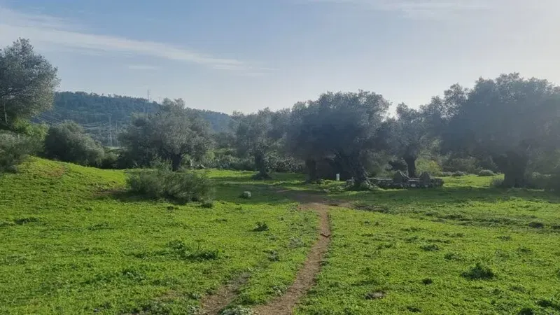 טיול לטוף מהר"ל- הר געש קדום ופריחה מרהיבה